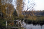 ОСЕНЬ. СНТ ПОБЕДА