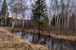 ВЕСНА. СНТ ПОБЕДА