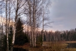 ВЕСНА. СНТ ПОБЕДА
