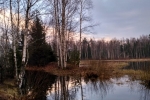 ВЕСНА. СНТ ПОБЕДА